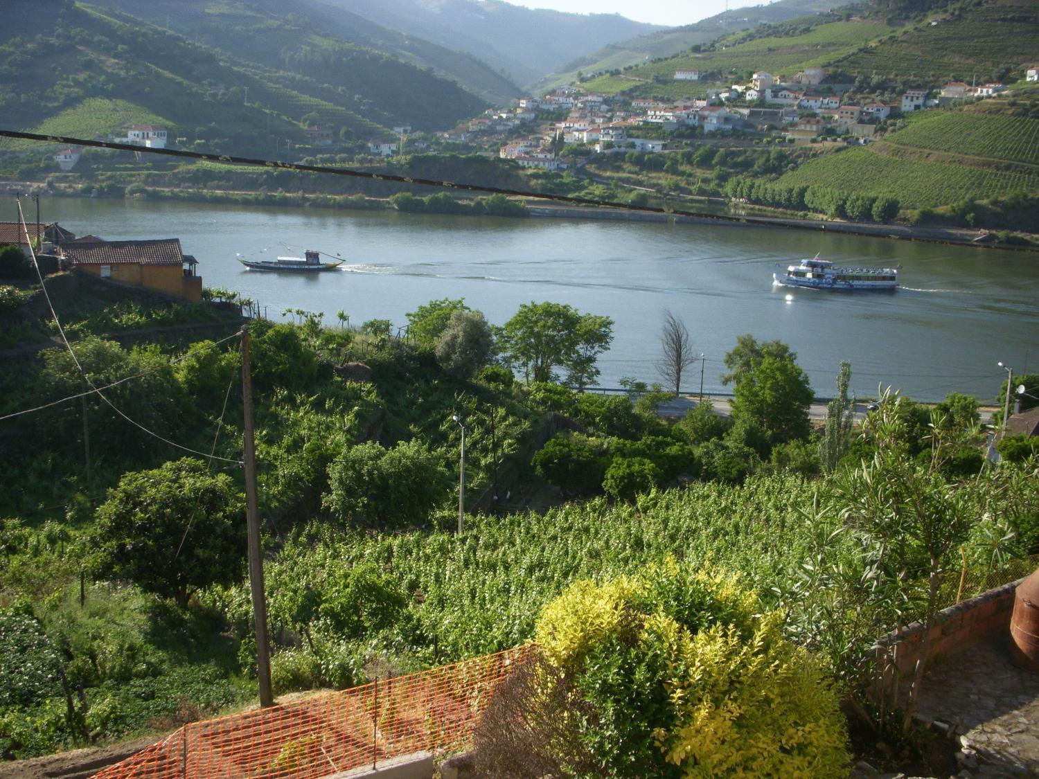 Hotel Quinta Da Azenha Folgosa  Zewnętrze zdjęcie