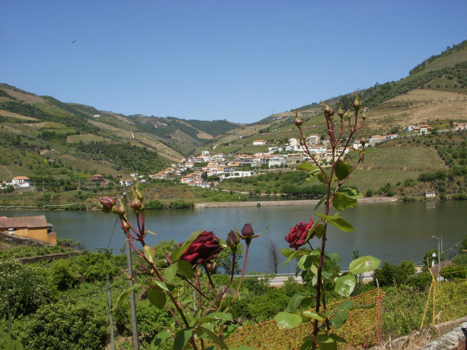 Hotel Quinta Da Azenha Folgosa  Zewnętrze zdjęcie