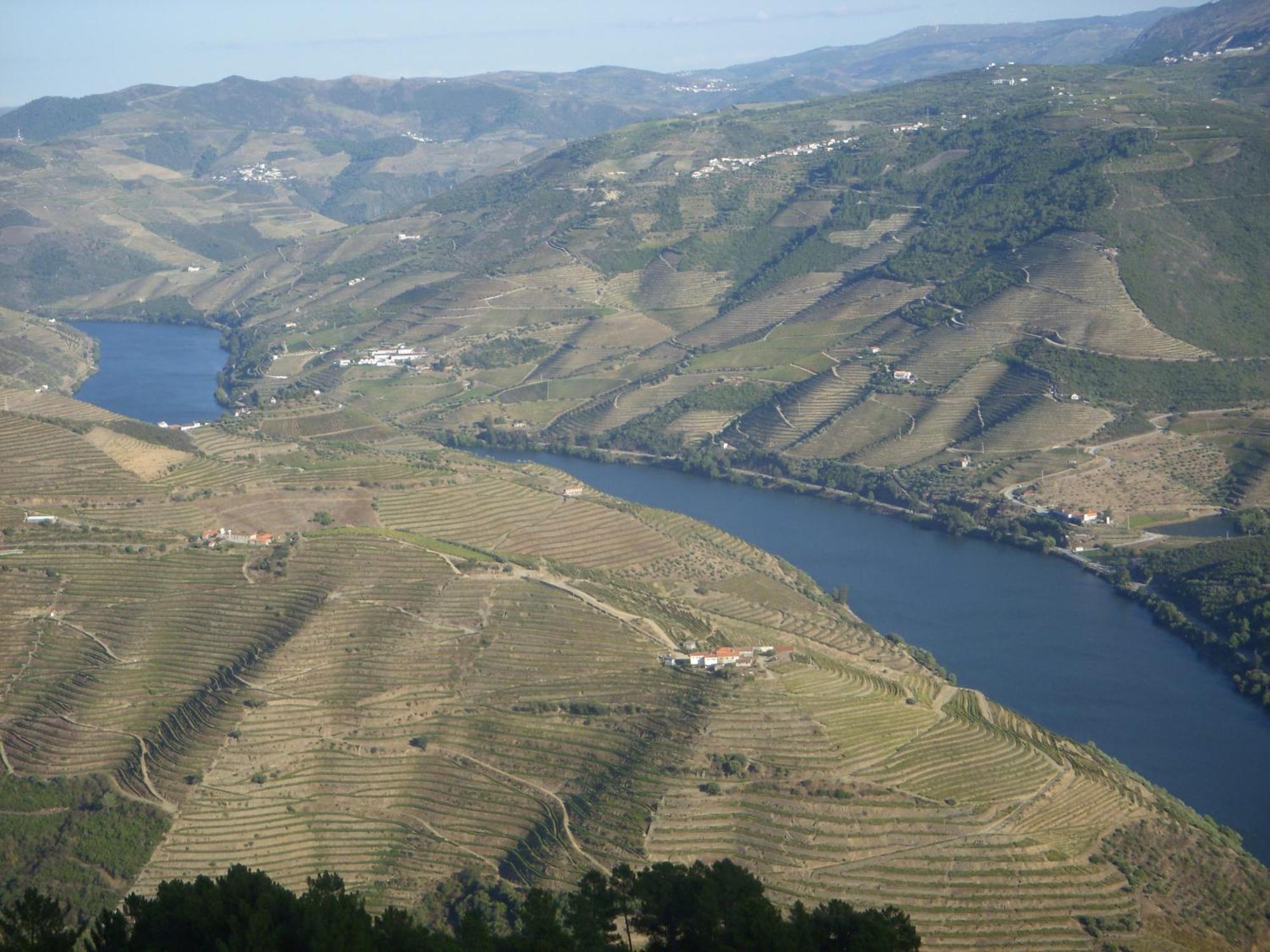 Hotel Quinta Da Azenha Folgosa  Zewnętrze zdjęcie