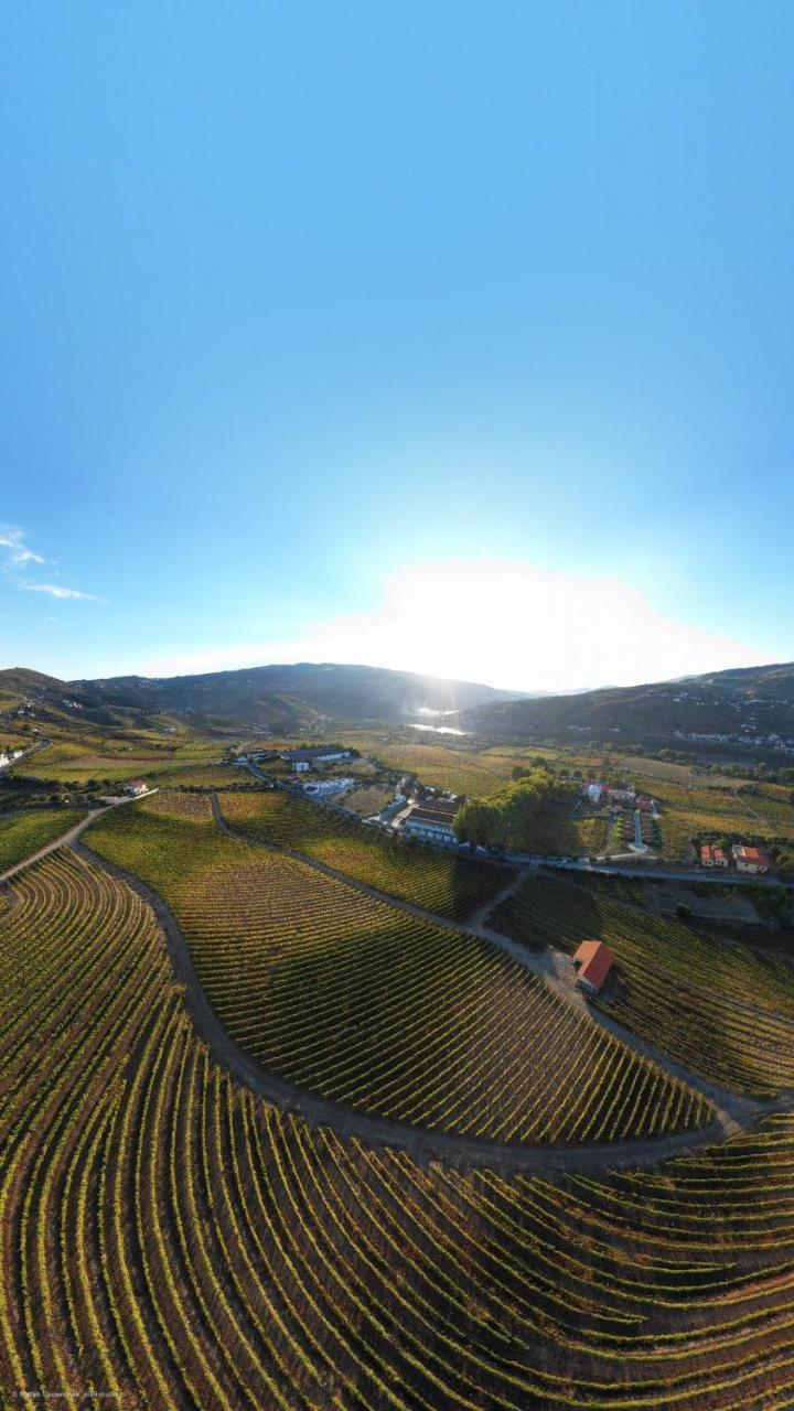 Hotel Quinta Da Azenha Folgosa  Zewnętrze zdjęcie